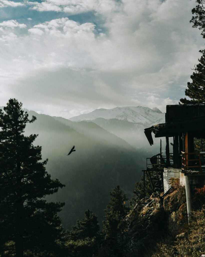 pexels qaarif 10386966